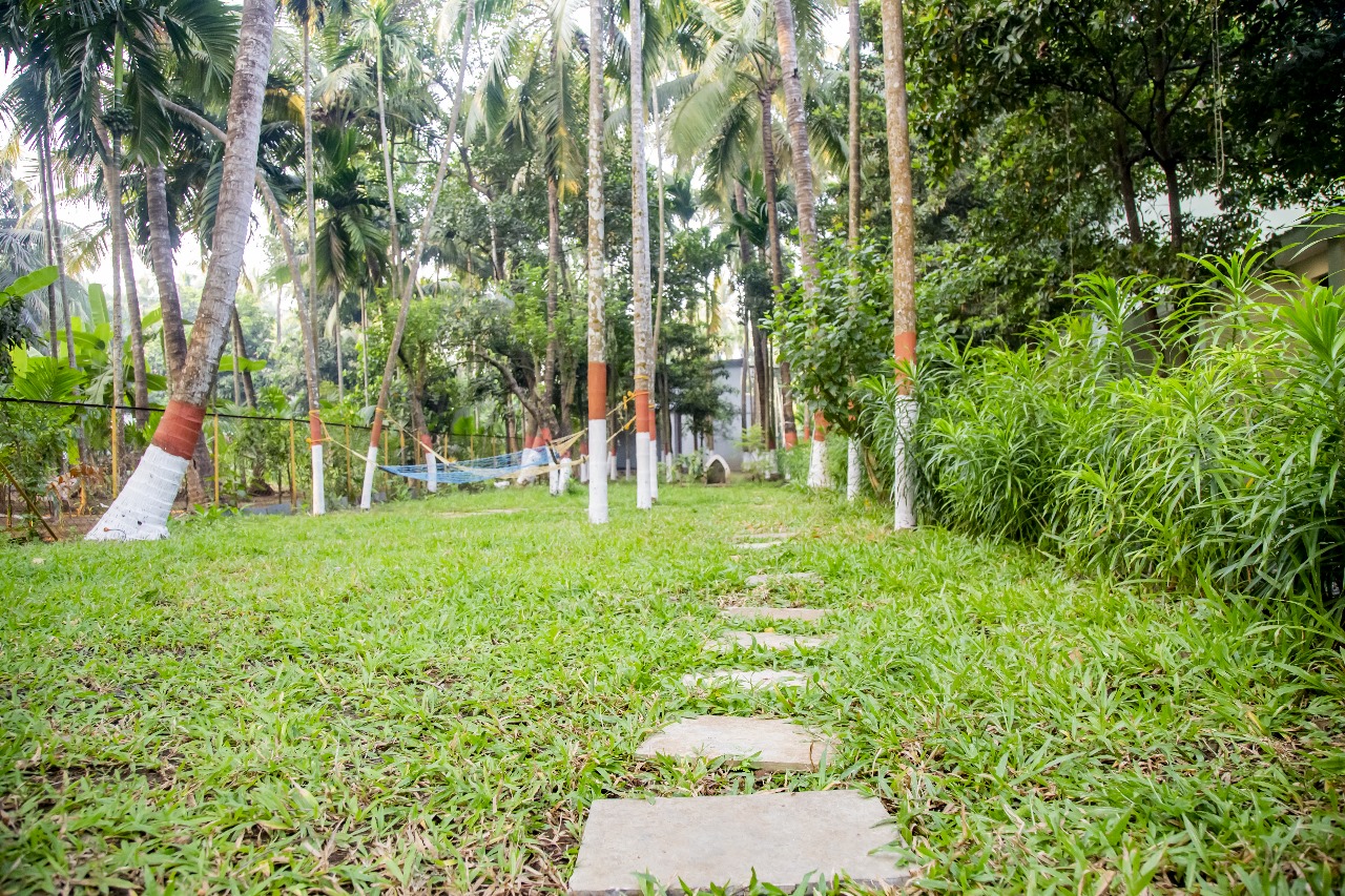 Betel Nut & Coconut Wadi Pathways