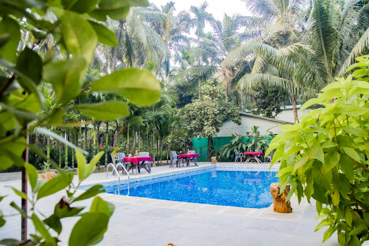 Village Aroma swimming pool and tropical coconut grove